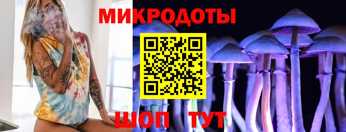 Галлюциногенные грибы Psilocybe  Вход с VPN  Чистополь 