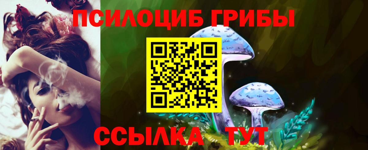 Галлюциногенные грибы прущие грибы Чистополь
